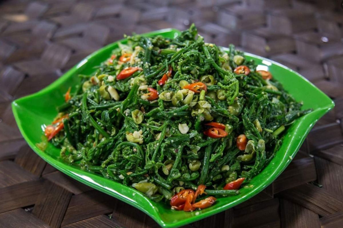 Nộm rau dớn (Fern Salad) Lai Chau Vietnam 